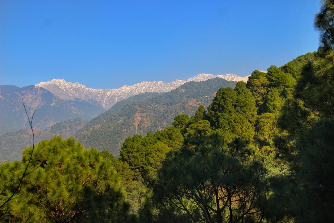 Rendezvous Resort Dharamszala Kültér fotó