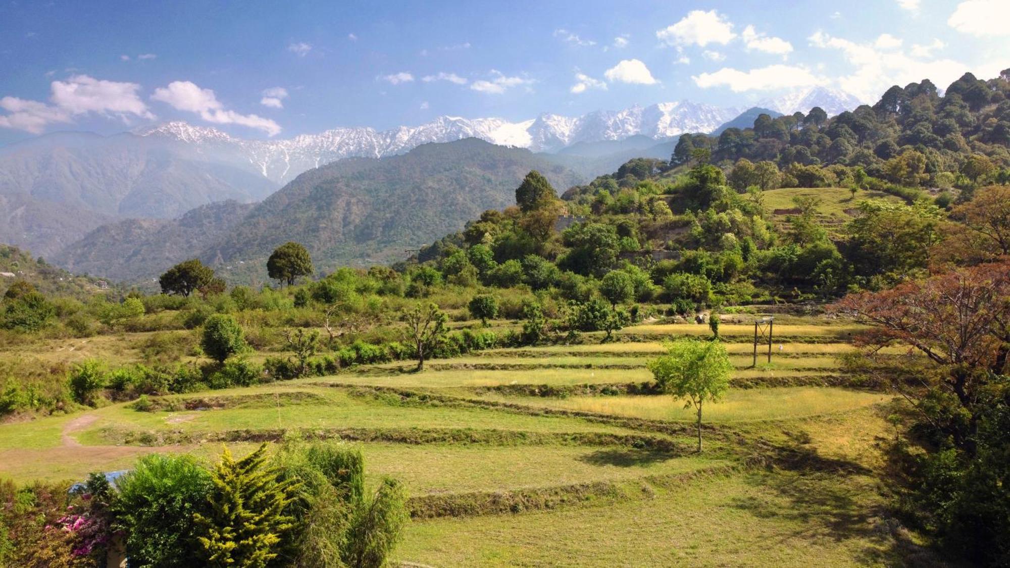 Rendezvous Resort Dharamszala Kültér fotó